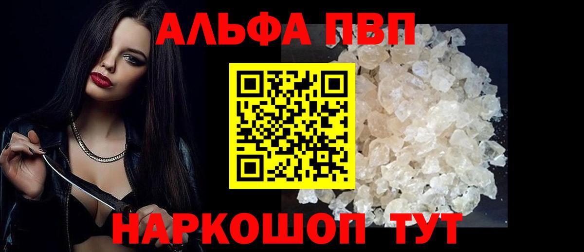 ГАШ Курчалой