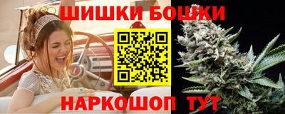 гашик Будённовск