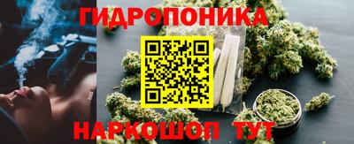 гашик Будённовск