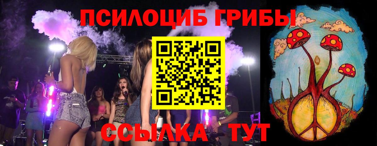 Галлюциногенные грибы MAGIC MUSHROOMS  Вход с VPN  Курчалой 